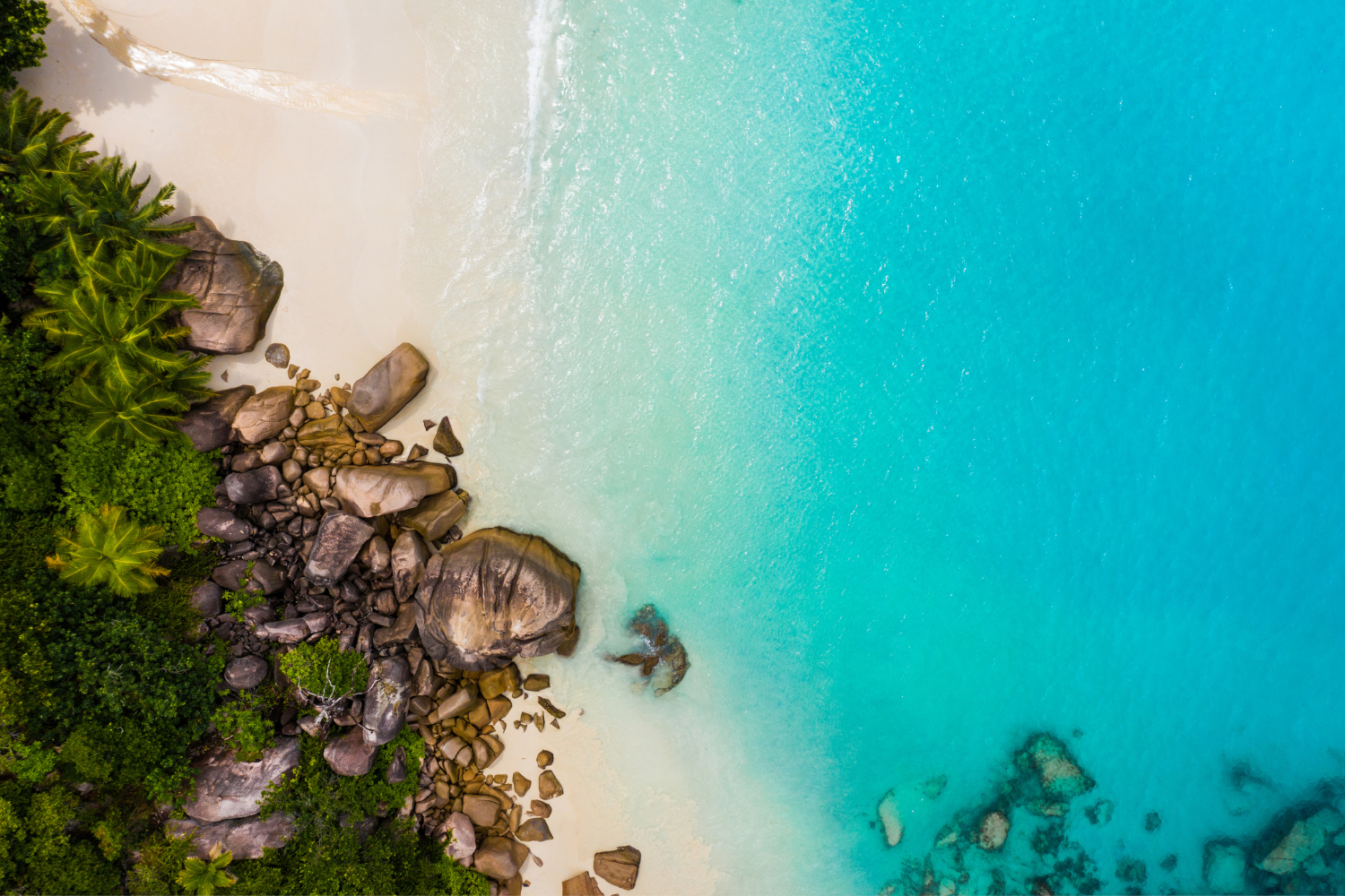Crystal Reef Bookings — Seychelles