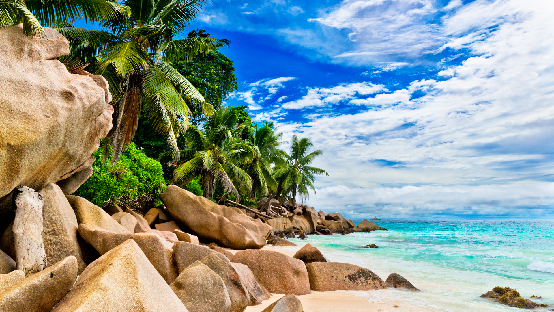 Crystal Reef Bookings — Seychelles gallery