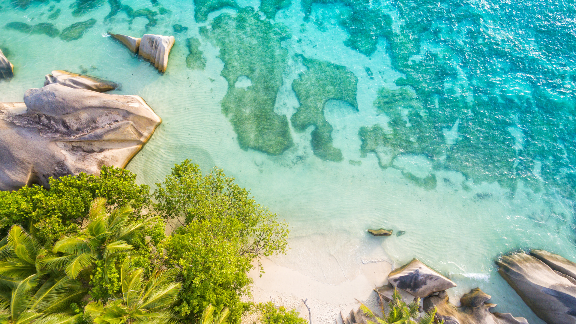 Curated services in Seychelles